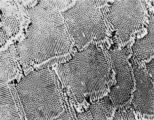 pagenumber_ebook=35,pagenumber_book=26